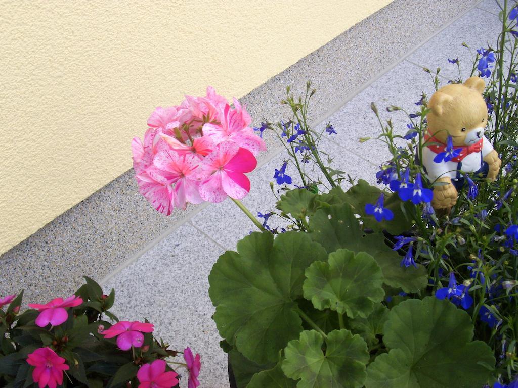 ストローブル Haus Amalia Bed & Breakfast エクステリア 写真
